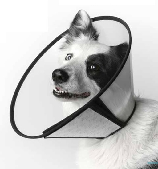 Picture of Leopet Plastic Velcro Surgical Collar